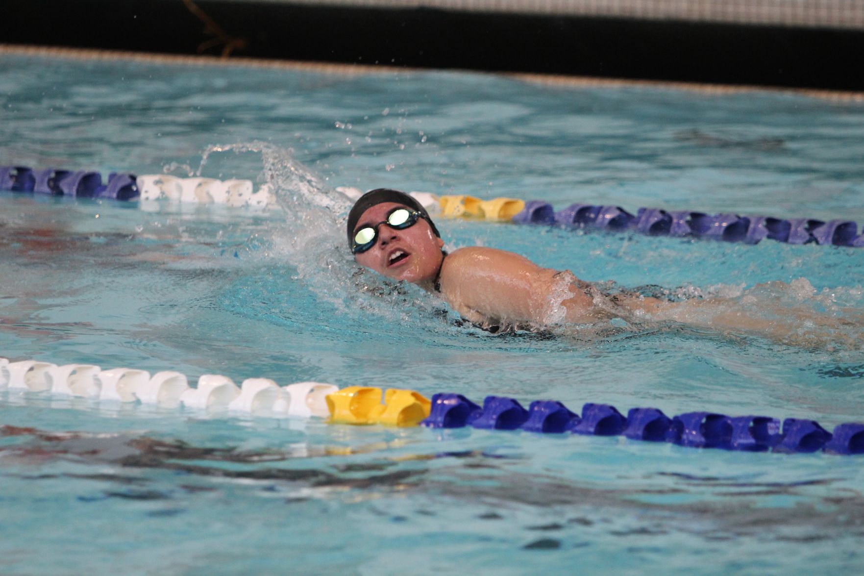 swim.jpg